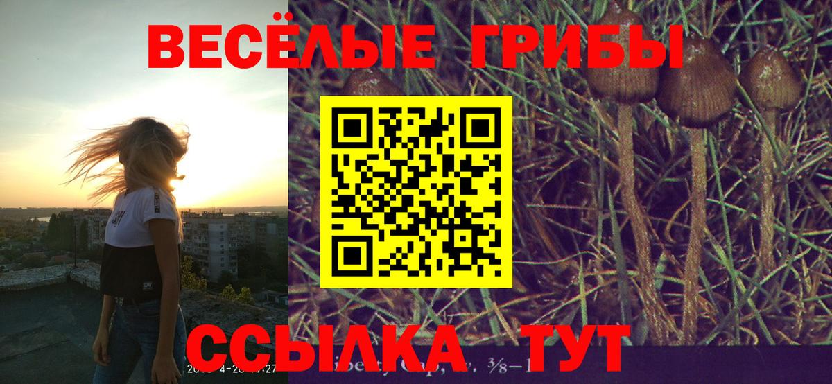 Каннабис Клинцы